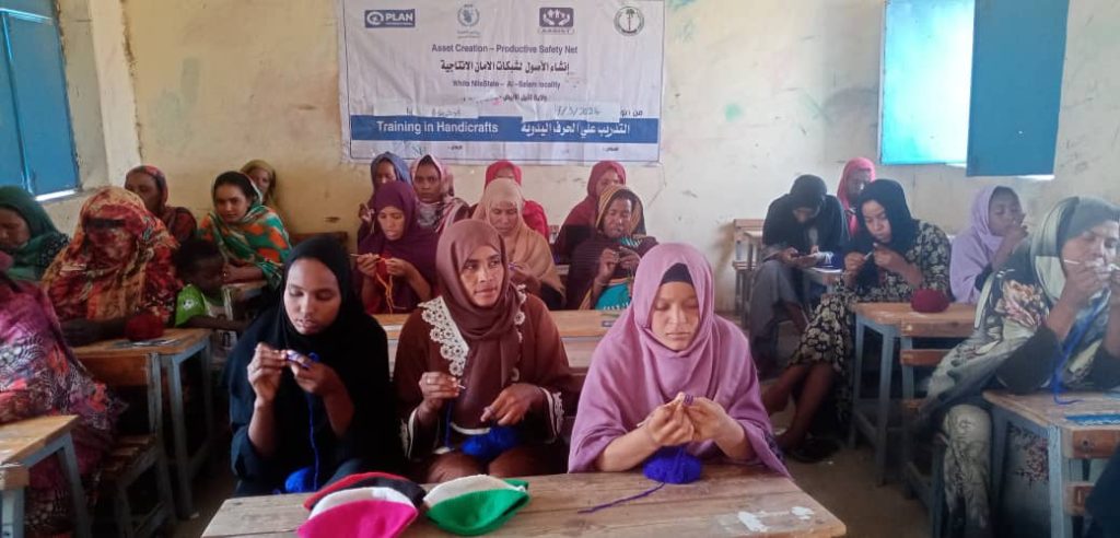 Asset creation productive safety net